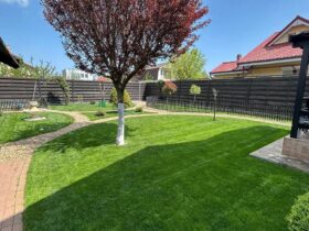 stirimax.ro constructiibucuresti.ro montaj gazon si plantari bucuresti preturi oferte 2025 07 24 01.22.47